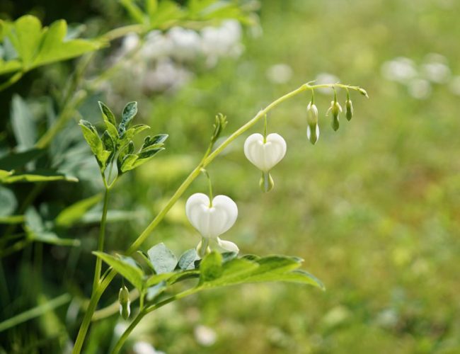 marche ou la vie t'ensoleille vu par Tea&Poppies