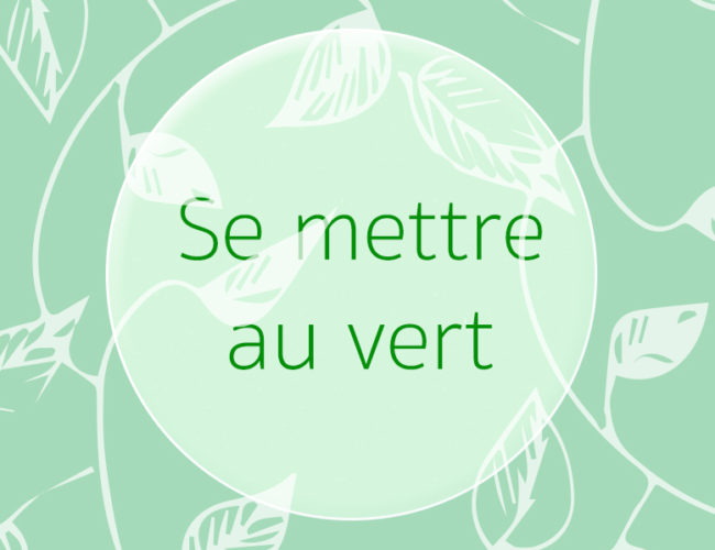 Je ne suis pas une hippie mais je me mets au vert ! Bons gestes, faire attention à l'environnement, green, écolo